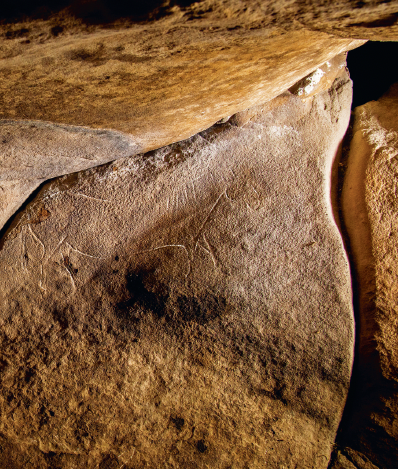 Présentation de l'ouvrage De Courbet à Lascaux : une origine du monde préhistorique (coll. Dits, INHA) (Le 21/11/2024 de 18:30:00 à 19:30:00)